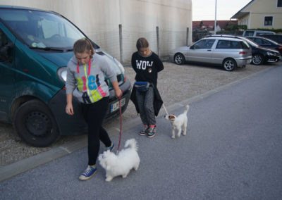 PASJA ŠOLA - PASJI CENTER