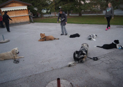 PASJA ŠOLA - PASJI CENTER