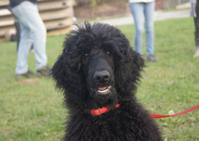 PASJA ŠOLA - PASJI CENTER