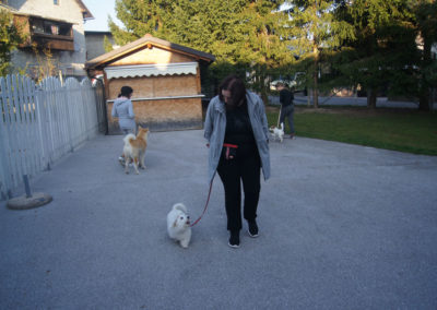 PASJA ŠOLA - PASJI CENTER