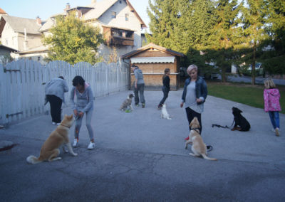 PASJA ŠOLA - PASJI CENTER