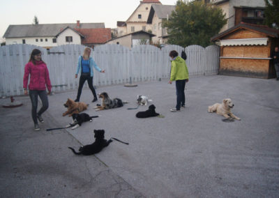 PASJA ŠOLA - PASJI CENTER