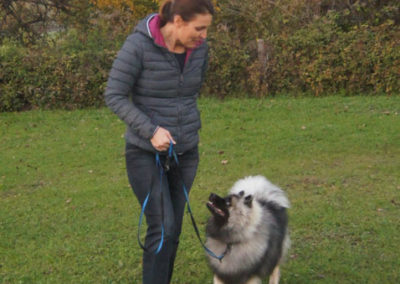 PASJA ŠOLA - PASJI CENTER