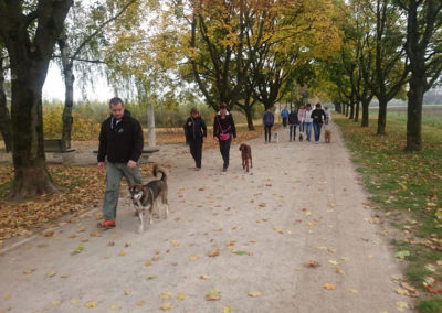 PASJA ŠOLA - PASJI CENTER