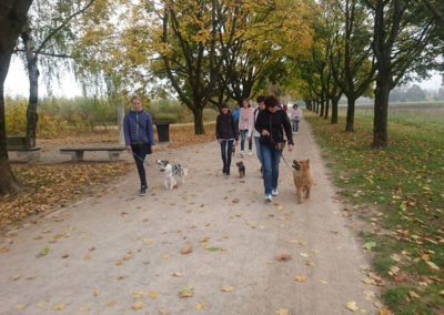 PASJA ŠOLA - PASJI CENTER