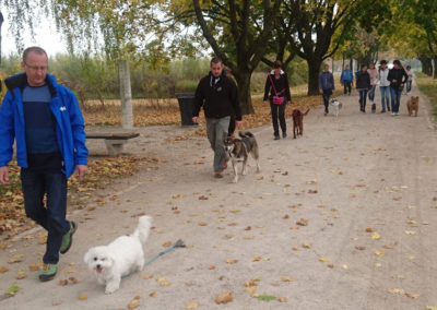 PASJA ŠOLA - PASJI CENTER