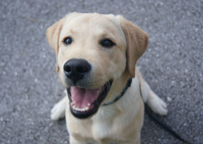 PASJA ŠOLA - PASJI CENTER